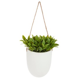 ATMOSPHERA CREATEUR D'INTERIEUR Hanging wall plant H20
