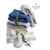 CBJAPAN Carari Plus Face Towel, 3.3x Water Absorbency Microfiber, White,