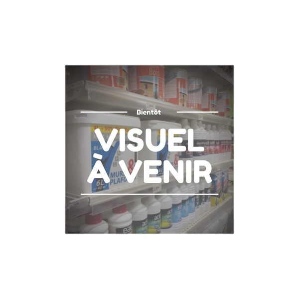 Perel Smart Wi-Fi LED lamp with filament - warm white