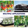 iPower 5x5FT Flexible Elastic Trellis Netting with Hooks Tent Grow