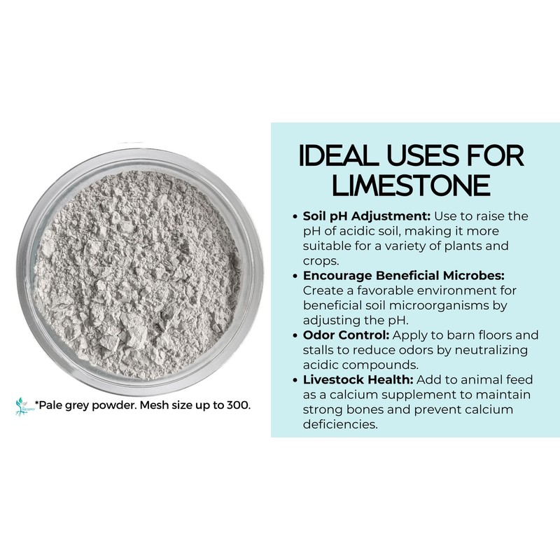 1 Pound Calcium Carbonate Limestone Powder by The Seed Supply