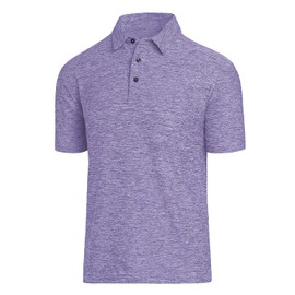 Men's Dry Fit Golf Polo Shirt (as1, Alpha, l, Regular, Regular, 3-Purple)