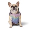 Canada Pooch Iridescent Shiny Puffer Vest for Dogs, 3X-Small