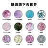 TVETE Microscope, For Children, Elementary School Students, Pocket Microscope, Zoom