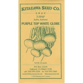 Purple Top Turnip