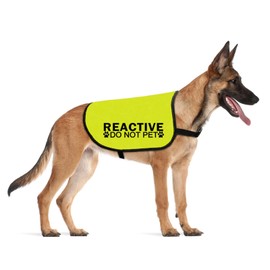 CENWA Reactive Dog Jacket Vest Do Not Pet Reactive No Dogs Service Dog Slogan Warning Vest (DO NOT PET Reactive L)