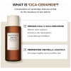 Bw Skin1004 Probio Cica Kit Antiedadantiarrugasreafirmante