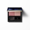 파우더 블러쉬 듀오 Powder Blush Duo