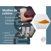 INTERLUX-KLINICUS Caja / Placas Petri Estériles (90x15mm) Pack 100 Pzas