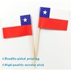 JBCD Chile Toothpick Flag Chilean Mini Small Cupcake Topper Flags,