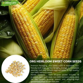 Green Life Org Almanac Heirloom Sweet Corn Seeds (Golden Bantam) - Approx 100 Seeds - Non-GMO, Open Pollinated (100, Extra Large)