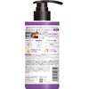 [got2b] Bonded Color Shampoo Violet (Color Shampoo for High Damage