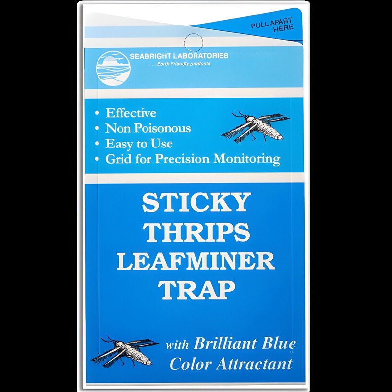 Natures Good Guys Sticky Thrips and Leafminer Trap (5 pack)