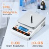 Bonvoisin Lab Scale 5000g/0.01g High Precision Laboratory Scientific Scale 0.01