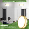 10 Inch LED Flush Mount Ceiling Light, Gold Kitchen Lighting
