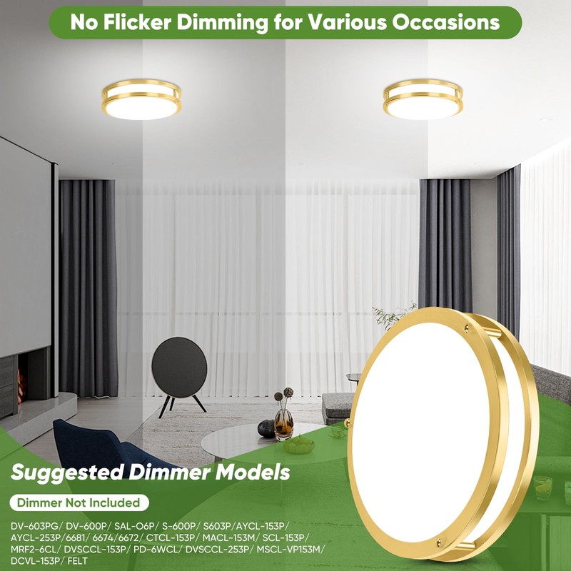 10 Inch LED Flush Mount Ceiling Light, Gold Kitchen Lighting