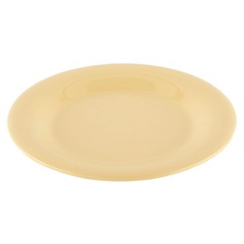 G.E.T. 10.5" Heavy-Duty Wide Rim Melamine Plastic Dinner Plate (Set of 12)