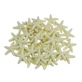 LJY 40 Pieces 3cm Resin Pencil Finger Starfish for Wedding Home Decor and Craft Project (Beige)