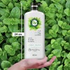 Herbal Essences Acondicionador Detox Té Verde & Menta 600 ml