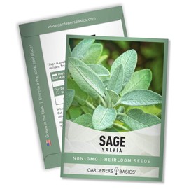 Sage Seeds for Planting Heirloom, Non-GMO Herb Variety- Great for Indoor and Outdoor Gardening by Gardeners Basics