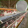 4 Pack Washable Chicken Nesting Pads for Laying Eggs， Nesting