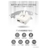 Tama Electronics Industries Kinnikuman PD20W AC Charger Kinnikuman (Demon Shogun