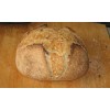 Unbranded SAN FRANCISCO SOURDOUGH YEAST STARTER SALLY 150 YEARS OLD