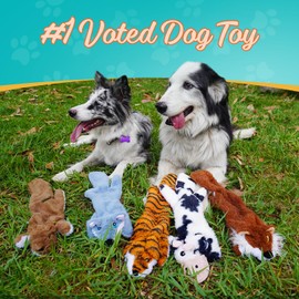 Chesk Dog Toys Squeaky & Crinkle 5 Pack No Stuffing Plush Dogs Chews Toy for Small Medium Large Breed Chewers Dog Products Durable Puppy Teething Chewing Interactive to Keep Them Busy Birthday Gift