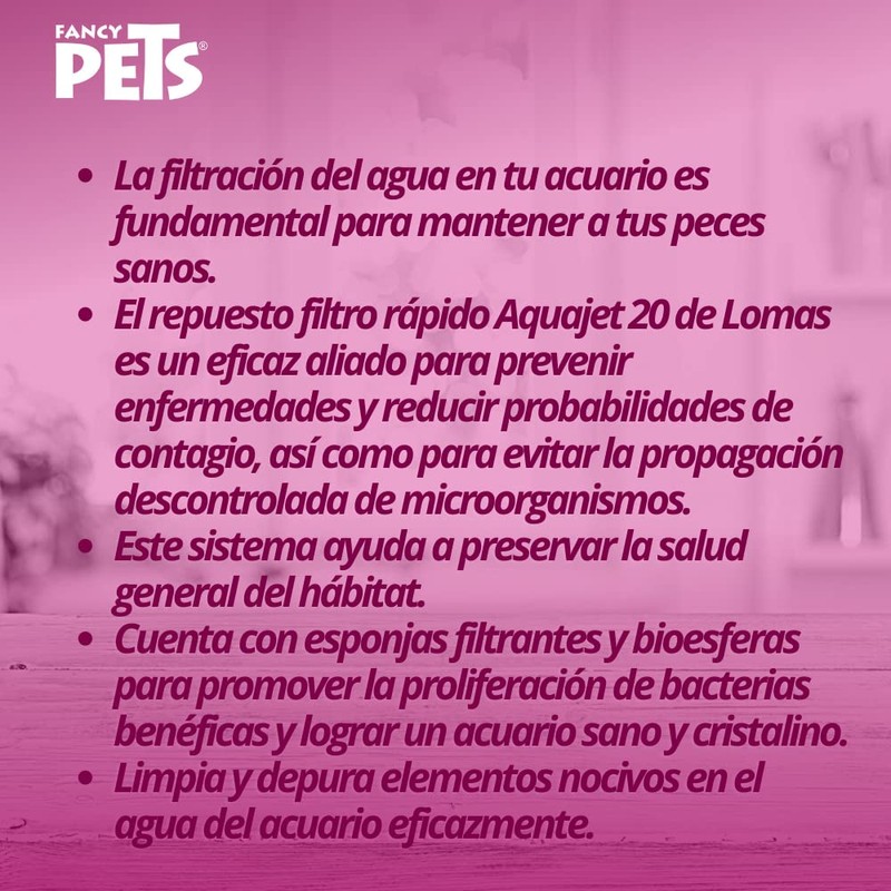 Lomas REPUESTO FILTRO RAPIDO P/CABEZA DE PODER AQUAJET 20.