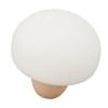 Mushroom Lamp Silicone Slap Dimmable Rechargeable Mushroom Night Light for