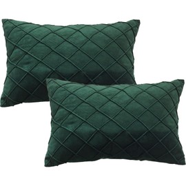GONOVE Velvet Cushion Covers 30X50cm Soft Decorative Dark Green Throw Pillow Cases Pack of 2 Square Pillow Covers Pillowcases with Invisible Zipper for Home Couch Sofa Bed
