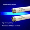 Accway 13'' BL T8 F10W Replacement Bulbs for Liba, Aspectek