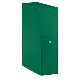 Esselte Cartelle a scatola Eurobox - folders (Green)