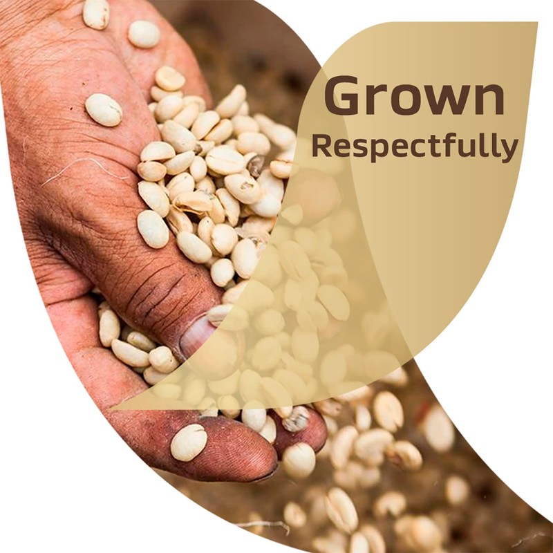 Nescafé, Taster's Choice, Instant Coffee Beverage, Hazelnut, 16 Packets, 0.1