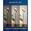 FLSNT A19 Dimmable LED Light Bulb, 9W (60W Equivalent), 5