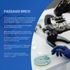 Kit di progetti scientifici per piatti di agar nutrienti e