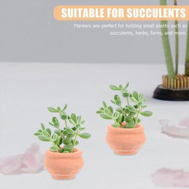 Zerodeko 2pcs Miniature Flower Pot Small Clay Pots Dollhouse Flower Pot Tiny Flower Pot Nursery Pots Small Clay Flower Pot Plant Containers Mini Flower Crafts Succulents Ceramics
