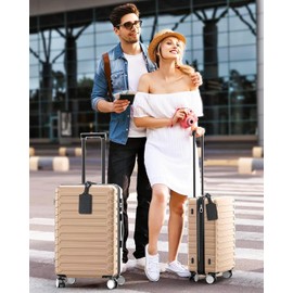 Teskyer Luggage Tags for Suitcases, TSA Approved with Privacy Protection Cover, Premium Faux Leather Bag Tags for Travel - 4 Pack, Black