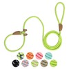Slip Lead Rope Dog Leash Heavy Duty for Training, Nylon
