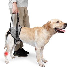 Dog Sling for Large Dogs Hind Leg Support, Disabled Pet Dog Lift Harness, Adjustable Dog Sling Carrier with Padded Helps Arthritis ACL Recovery for Weak Back Legs Hip Joint Injury Elderly Dogs (L)