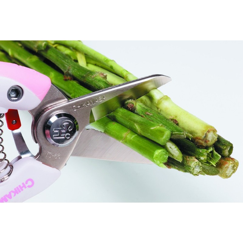 tikamasa puru-na- Florists