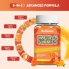 Omega 3 Gummies Supplement 1000mg, High Absorption DHA & EPA,
