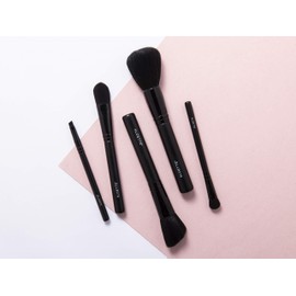 Aloette Professional 5-Piece Brush Collection, Powder Brush, Blush Brush, Foundation Brush, Eyeshadow Brush, Cruelty Free Synthetic Makeup Brushes
