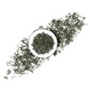 GOARTEA Biluochun Green Tea 100g / 3.5oz Premium Spring Suzhou