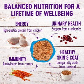 Wellness Complete Health Grain Free Canned Cat Food, Chicken & Herring Dinner Pate, 12.5 Ounces (Pack of 12)