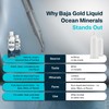 Baja Gold Liquid Trace Mineral Drops – Pure Ocean-Based Minerals