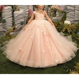 Flower Girls Dresses for Wedding 3D Butterfly Appliques First Communion Dresses Tulle Pageant Dress Birthday Party Ball Gown Size 10, Rose