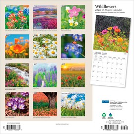 Wildflowers | 2026 12 x 24 Inch (Hanging) Monthly Square Wall Calendar | Foil Stamped Cover | Plato | Outdoor Plant Floral