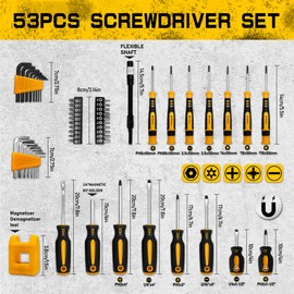 53-piece Magnetic Screwdrivers Set with Case,Phillips, Hex, Pozidriv,Torx and Precision Screwdriver Set, Magnetizer Demagnetizer Tools, Replaceable Screwdriver Bits With Sturdy tool box