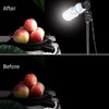 BOLLUMA Photography Daylight White E27 Lighting Lamp Softbox Bulbs 50W